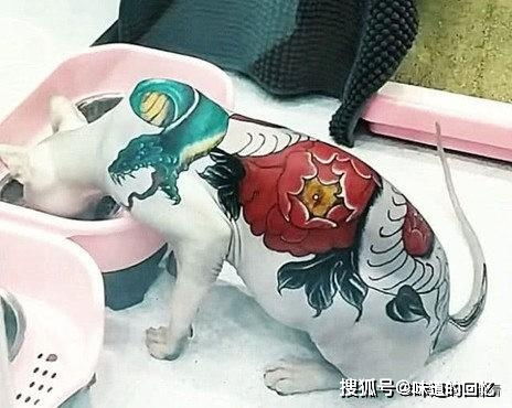 纹身去留之间：揭秘纹身去除的最新趋势与专业指南